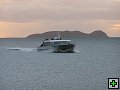 thn_steward island 037.jpg